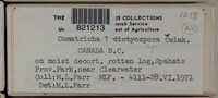 Image Associated With the Occurence